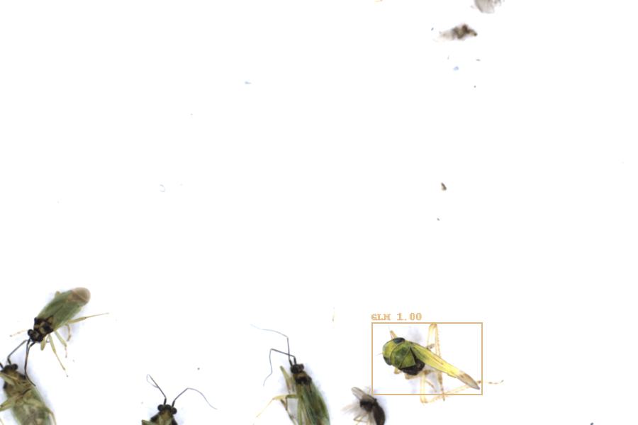 Image 10